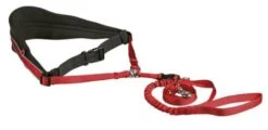 Trixie Ceinture Rembourrée Canicross Mains Libres Rouge