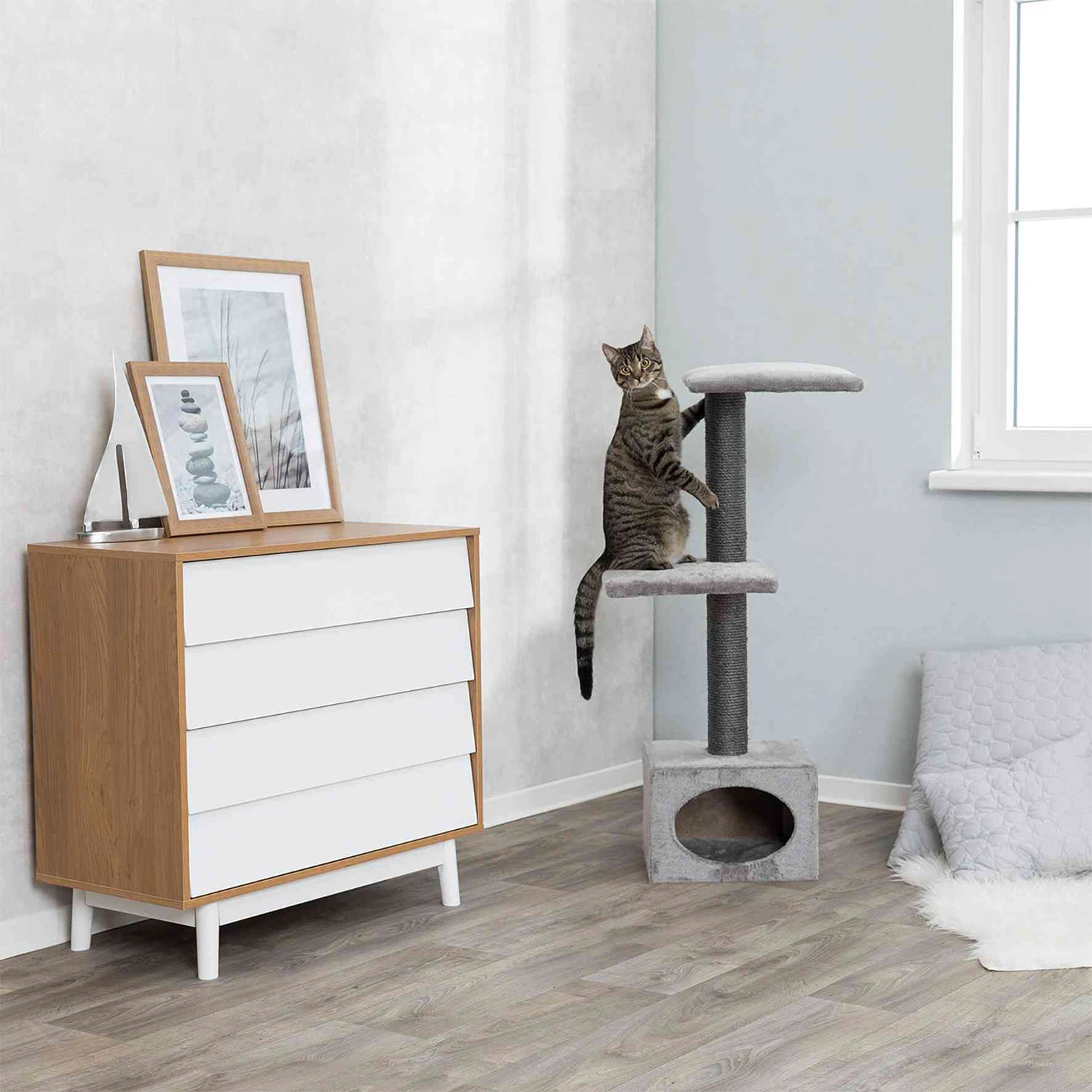 Trixie Grattoir Galeno 4 Trixie Grattoir Galeno – Image 2