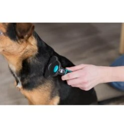 Trixie Brosse Carde Chien 7 X 15 Cm -lacompagniedesanimaux 260940 pho pro use 24171 1