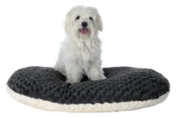 Trixie Coussin Ovale Kaline Crème Et Gris Pour Chiens -lacompagniedesanimaux 425226 43096 la 6167750ca3559e5b8e1f44210283368fc161403169926 1 jpg 3