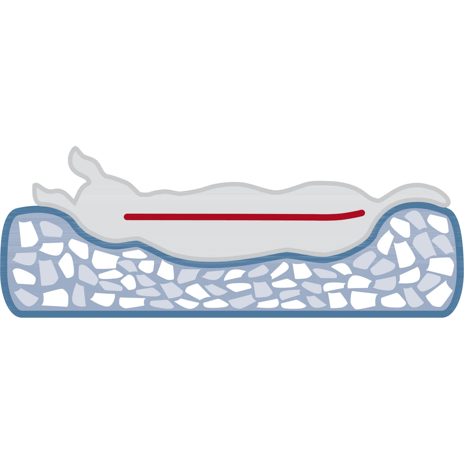 Trixie Coussin Vital Junis Sable 7 Trixie Coussin Vital Junis Sable – Image 5