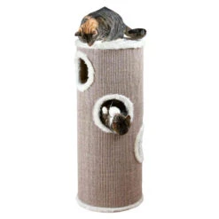 Trixie Tour De Jeu Pour Chat Marron/beige 12 Trixie Tour De Jeu Pour Chat Marron/beige -lacompagniedesanimaux PHO PRO CAT CLIP 4338 1 620a278a5126b