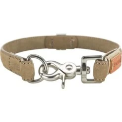 Trixie Collier En Cuir De Sable -lacompagniedesanimaux PHO PRO CLIP 17521 1 63629fc1b237e g