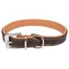 Trixie Collier Active Comfort Marron -lacompagniedesanimaux PHO PRO CLIP ActiveComfort 18936 1 63636b333b9a3 g