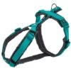 Trixie Trekking New Premium Blue Ocean-Graph -lacompagniedesanimaux PHO PRO CLIP Premium 1997212 1 63629384725d3 g
