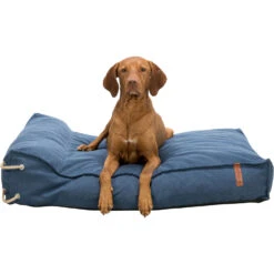 Trixie Lit De Coussin Föhr Bleu Foncé -lacompagniedesanimaux PHO PRO DOG CLIP 37463 37464 37465 1 636297081f633