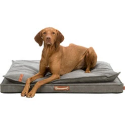 Trixie Lit De Matelas Föhr Gris Foncé -lacompagniedesanimaux PHO PRO DOG CLIP 37470 37471 37472 1 636297d815828