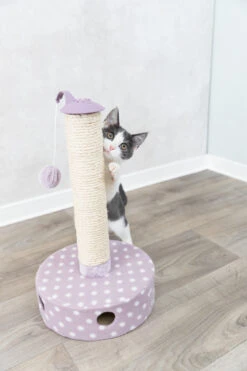 Trixie Junior Scraper Post -lacompagniedesanimaux PHO PRO CAT 42930 2