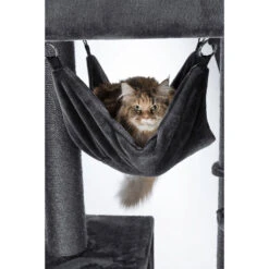 Trixie Gratte-pieds Amadeus XXL -lacompagniedesanimaux PHO PRO CAT 44670 3