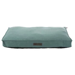 Trixie Coussin Talis Vert Menthe
