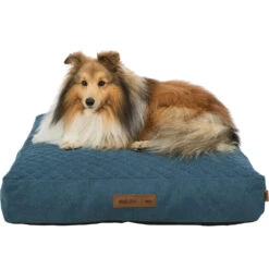 Trixie Coussin Carré Vital Tonio Bleu -lacompagniedesanimaux PHO PRO DOG CLIP 36510 36511 1