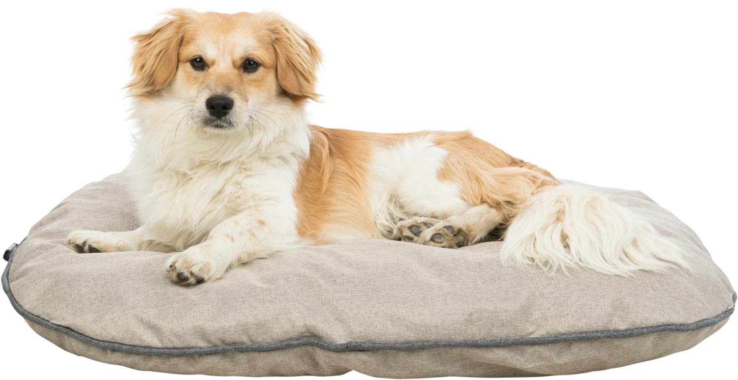 Trixie Coussin Vital Junis Sable 8 Trixie Coussin Vital Junis Sable – Image 6