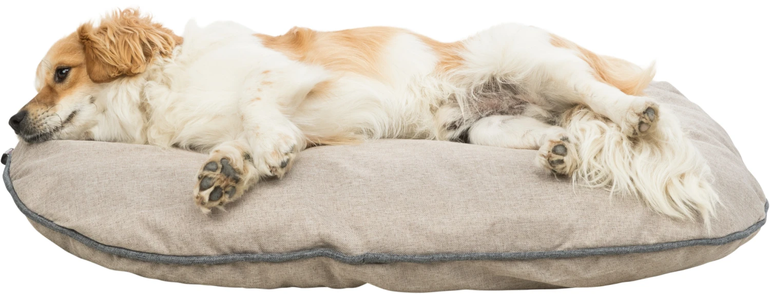 Trixie Coussin Vital Junis Sable 9 Trixie Coussin Vital Junis Sable – Image 7