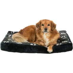 Trixie Coussin Jimmy Black -lacompagniedesanimaux PHO PRO DOG CLIP 36621 1