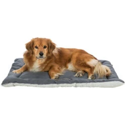 Trixie Couvre-matelas Farello -lacompagniedesanimaux PHO PRO DOG CLIP 37236 1