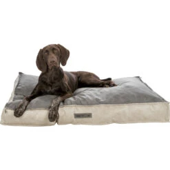 Trixie Coussin Vital Carré Calito Calito Sable Et Gris -lacompagniedesanimaux PHO PRO DOG CLIP 37362 1