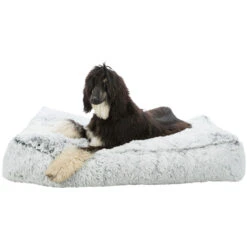 Trixie Coussin Carré Harvey Noir Et Blanc -lacompagniedesanimaux PHO PRO DOG CLIP 38010 1