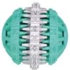 Trixie Balle Mintfresh DentaFun Pour Chien 6 Cm 1 Trixie Balle Mintfresh DentaFun Pour Chien 6 Cm -lacompagniedesanimaux balle 1