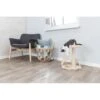 Trixie Arbre à Chat Vitoria Junior 43 Cm -lacompagniedesanimaux lm 6695c04925674920eb58467fb52ce4ef7281732285452