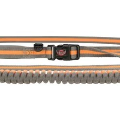 Trixie Laisse Spéciale Pour Chien Pour La Course à Pied Gris/Vert -lacompagniedesanimaux originals PHO PRO DET CLIP PHO PRO DET CLIP 12763 3 SALL AWK V1 63106efce7cb9 g