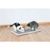 Trixie Tapis Griffoir Gris Clair 55 X 35 Cm -lacompagniedesanimaux pho pro cat 43110 1 sall awk v1