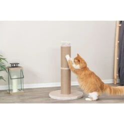 Trixie Poteau Griffoir Rue Beige XXL