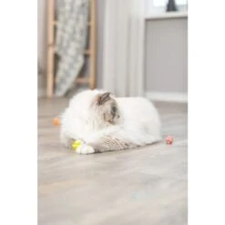 Trixie Set De 4 Balles Avec Bosses Pour Chat -lacompagniedesanimaux pho pro cat 4534 3 sall awk v1