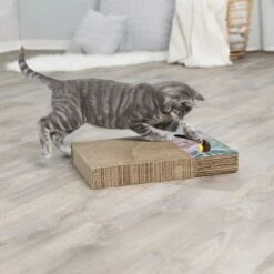 Trixie Griffoir Interactif Avec Balle Pour Chat 38 Cm