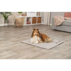 Trixie Couverture De Voyage CityStyle Grise 80 × 80 Cm