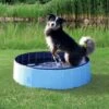 Trixie Piscine Pour Chiens 80 × 20 Cm 2 Trixie Piscine Pour Chiens 80 × 20 Cm -lacompagniedesanimaux piscine