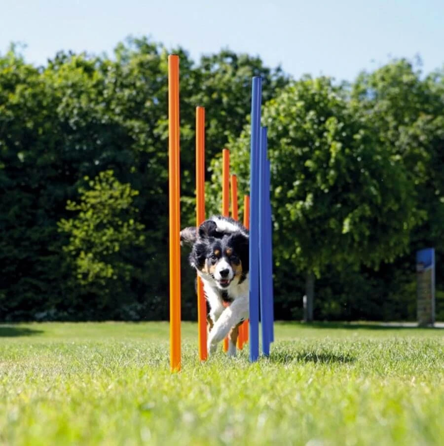 Trixie Slalom Agility 5 Trixie Slalom Agility – Image 3