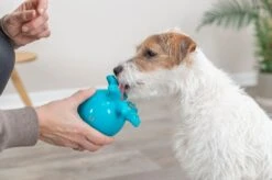 Trixie Snack Poulpe Pour Chien 11 Cm 9 Trixie Snack Poulpe Pour Chien 11 Cm -lacompagniedesanimaux snackpoulpe4 1