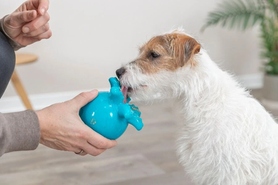 Trixie Snack Poulpe Pour Chien 11 Cm 6 Trixie Snack Poulpe Pour Chien 11 Cm – Image 4