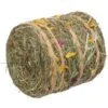 Trixie Rouleau De Foin Rongeurs 500 G -lacompagniedesanimaux trixie balle de foin fleurs melangees rongeurs 200 g
