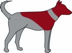 Trixie Collerette Gonflable Pour Chien L-XL -lacompagniedesanimaux trixie carcan gonflable pour chien l xl3