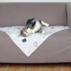 Trixie Couverture Mimi 70 × 50 Cm Gris Clair 1 Trixie Couverture Mimi 70 × 50 Cm Gris Clair -lacompagniedesanimaux trixie couverture mimi