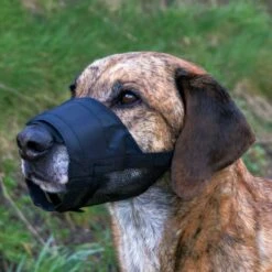 Trixie Muselière Avec Partie Maillée Noir S 6 Trixie Muselière Avec Partie Maillée Noir S -lacompagniedesanimaux trixie muselie re avec partie maille e noir s2