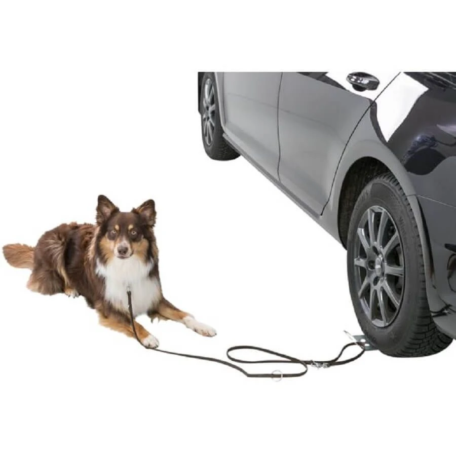 Trixie Plateau Roue Voiture Pour Chien En Laisse 6 Trixie Plateau Roue Voiture Pour Chien En Laisse – Image 4
