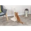 Trixie Poteau Griffoir Batres Chat Beige 62 Cm -lacompagniedesanimaux trixie poteau griffoir batres chat beige 62 cm 4