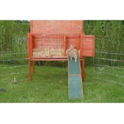 Trixie Rampe En Bois Pour Rongeurs 20 X 50 Cm -lacompagniedesanimaux trixie rampe en bois pour rongeurs 20 x 50 cm