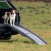 Trixie Rampe Pliable En 3 Parties 39 X 150 Cm - Poids Max 25 Kg -lacompagniedesanimaux trixie rampe pliable petwalk pliable en 3 parties 39 150 cm