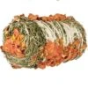 Trixie Balle De Foin Péponide Carotte Rongeurs 200 G -lacompagniedesanimaux trixie balle de foin l gumes pour rongeurs 1 1