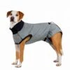 Trixie Body De Protection Pour Chien M -lacompagniedesanimaux trixie body de protection pour chien m3
