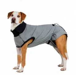 Trixie Body De Protection Pour Chien S