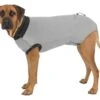 Trixie Body De Protection Pour Chien XL -lacompagniedesanimaux trixie body de protection pour chien xl la compagnie des animaux 2