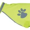Trixie Gilet De Sécurité Safety Dog Chien XL -lacompagniedesanimaux trixie gilet de se curite safety dog chien la compagnie des animaux 1