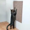 Trixie Griffoir XL Pour Chat 50 X 70 Cm Brun -lacompagniedesanimaux trixie griffoir xl pour chat 50 x 70 cm