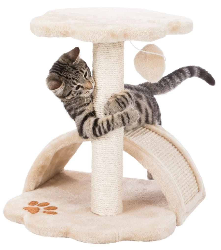 Trixie Arbre à Chat Vitoria Junior 43 Cm – Image 4