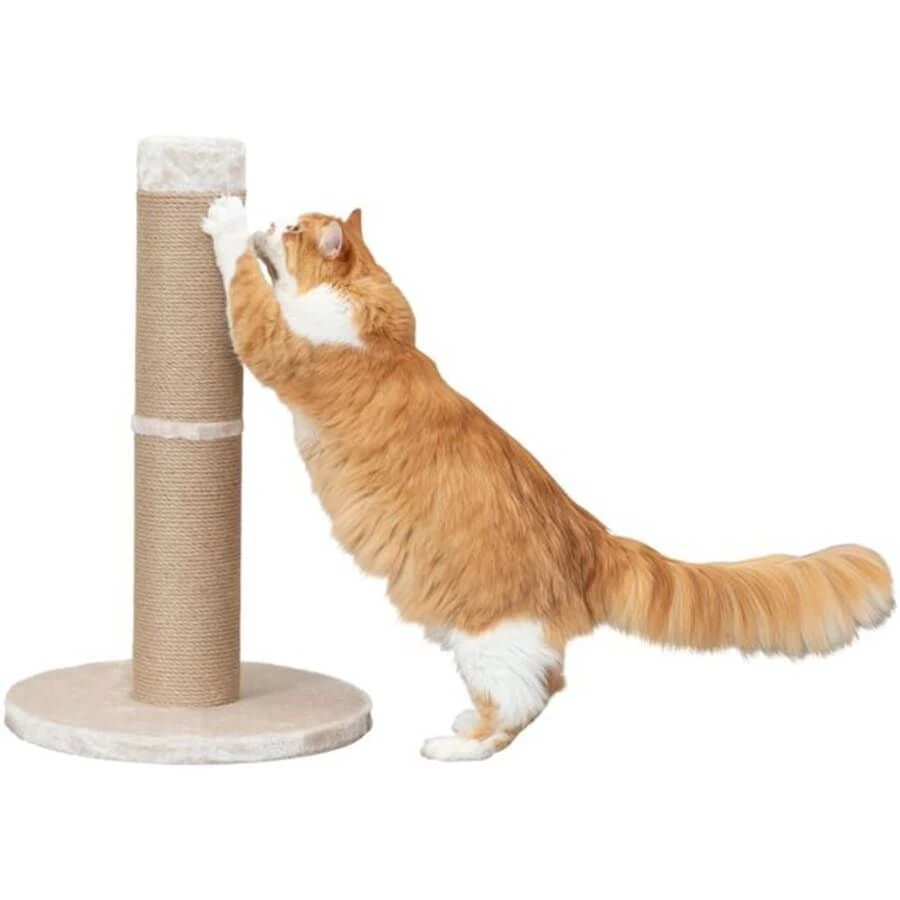 Trixie Poteau Griffoir Rue Beige XXL 5 Trixie Poteau Griffoir Rue Beige XXL – Image 3