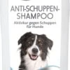 Trixie Shampooing Antipelliculaire Pour Chien 250 Ml -lacompagniedesanimaux trixie shampooing antipelliculaire pour chien 250 ml